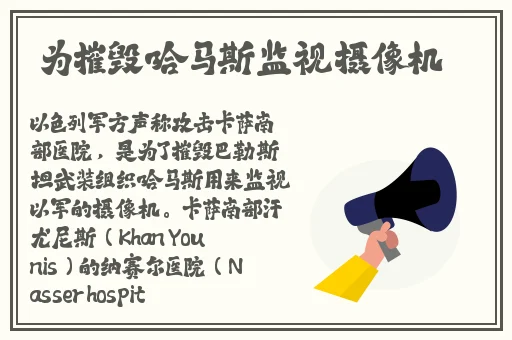 猫咪伊人蕉视频在线播放
